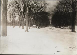[The Mall, Central Park, winter.]