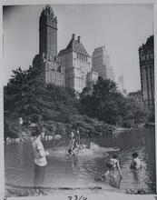 Central Park View