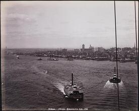 [New York from Brooklyn Bridge.]