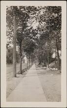 [Fort Washington Avenue, looking north from 181st Street.]