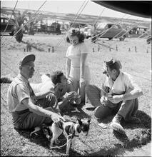 Circus [Group of people playing cards, one is dressed like a clown.]
