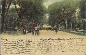 The Mall, Central Park, N. Y. City.