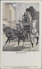 Going to the Fire