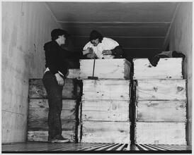[Loading trucks at the Fulton Fish Market.]
