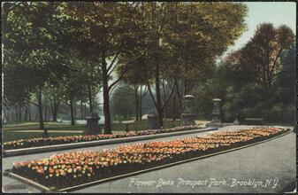 Flower Beds, Prospect Park, Brooklyn, N. Y.