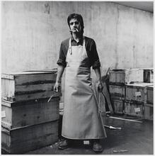 Vinny, filleter, July 1982.