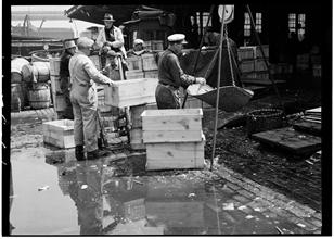 Fulton Fish Market: Packing for Retail 3.