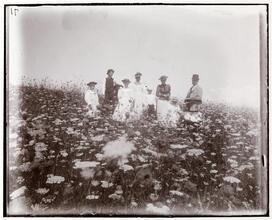 Shelter Island; Coming through the Fields.