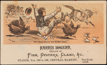 Harris Bogert