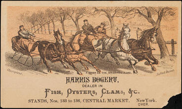 Harris Bogert