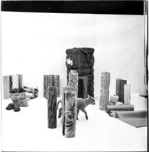 Salvador Dali: Rugs [Lamb in a display of rugs and materials that rugs contain.]