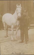 20 Truck 08 [Fireman with horse]