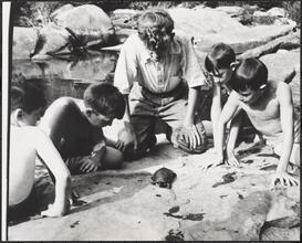 Camp Moodna, Admiring the Ways of a Turtle.