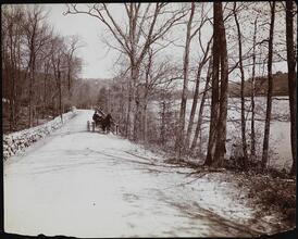[A horse and buggy on West Lake Drive, Tuxedo Park, N.Y, C. B. Alexander estate.]