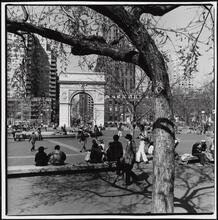[Washington Arch in Washington Square Park.]