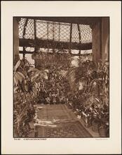 The Conservatory