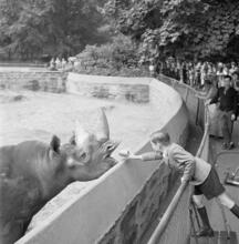 Zoos--Bronx Zoo