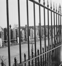 Brooklyn Nobody Knows [Washington Cemetery.]