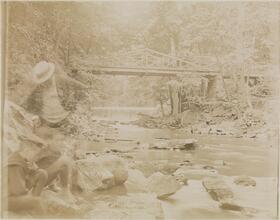 [Bronx River Falls.]