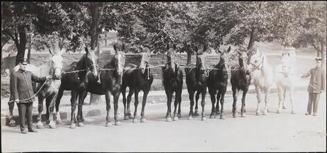 [Firemen with horses.]