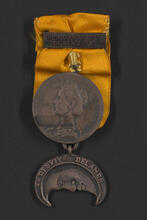 The Holland Society of New York