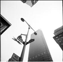 Park Avenue [Seagram Building.]