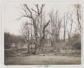 [Corner of Sedgwick Avenue and Fordham Road.]