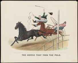 The Horse That Took the Pole.