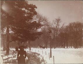 [Central Park.]