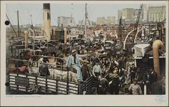 Banana Docks, New York.