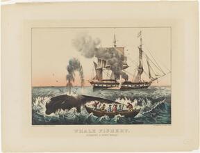 Whale Fishery.
