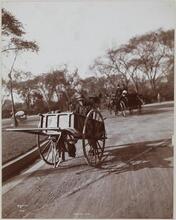 Central Park: Street Sweeper.