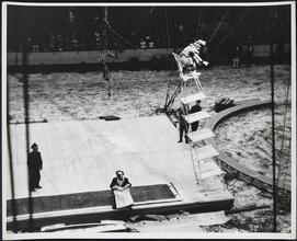 [Clowns at a circus.]