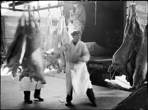 West Washington Market -- Beef Weighing and Loading.