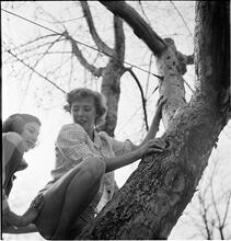 Betsy Von Furstenberg [Climbing a tree.]