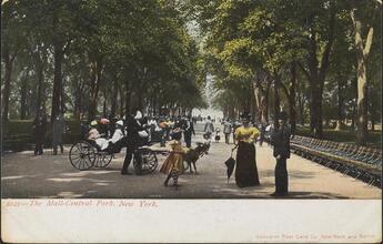 The Mall - Central Park. New York.