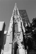 [St. Patrick's Cathedral.]