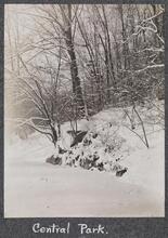 [Central Park.]