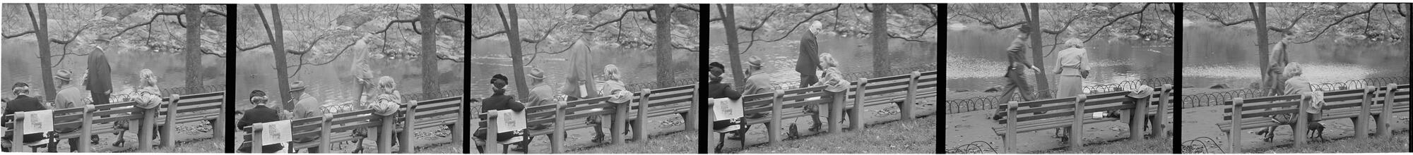 Men Are Such Wolves [People on a park bench.]