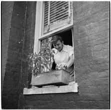 [Rooftop Gardens.]