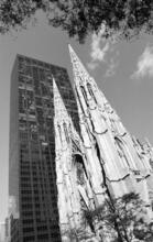 [St. Patrick's Cathedral and Olympic Tower.]