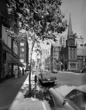 [Looking north on Madison Avenue toward St. James Episcopal Church.]