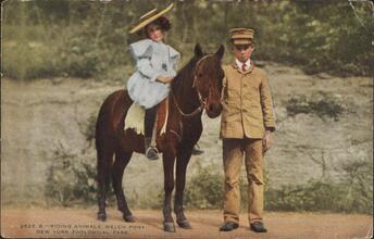 Riding Animals, Welch Pony, New York Zoological Park.