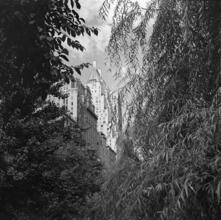 [View of apartment buildings from Central Park.]