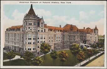 American Museum of Natural History, New York