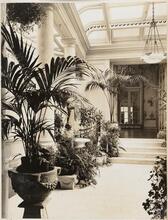 Mr. Adolph Lewisohn's Residence, 881 Fifth Ave., N.Y.C. Conservatory