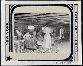 Organized Charity. In the Oyster Camps, Child Labor.