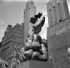 [Sculpture garden.]
