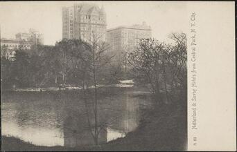 Netherland and Savoy Hotels from Central Park, N. Y. City.