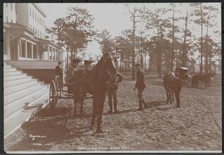 Park in the Pines, Aiken S.C.